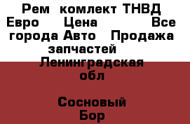 Рем. комлект ТНВД Евро 2 › Цена ­ 1 500 - Все города Авто » Продажа запчастей   . Ленинградская обл.,Сосновый Бор г.